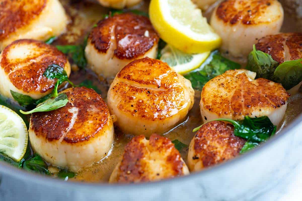 Pan-Seared Scallops